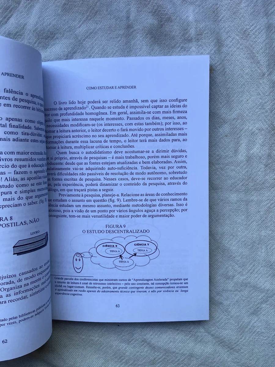 Livro Como Estudar E Aprender Como Se Tornar Autodidata 2 Ed (Usado)