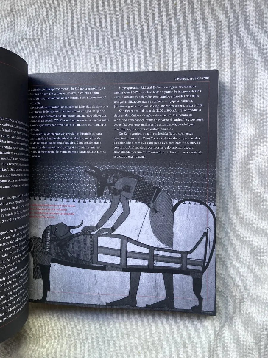 Livro Enciclopédia Dos Monstros 2008 (Usado)