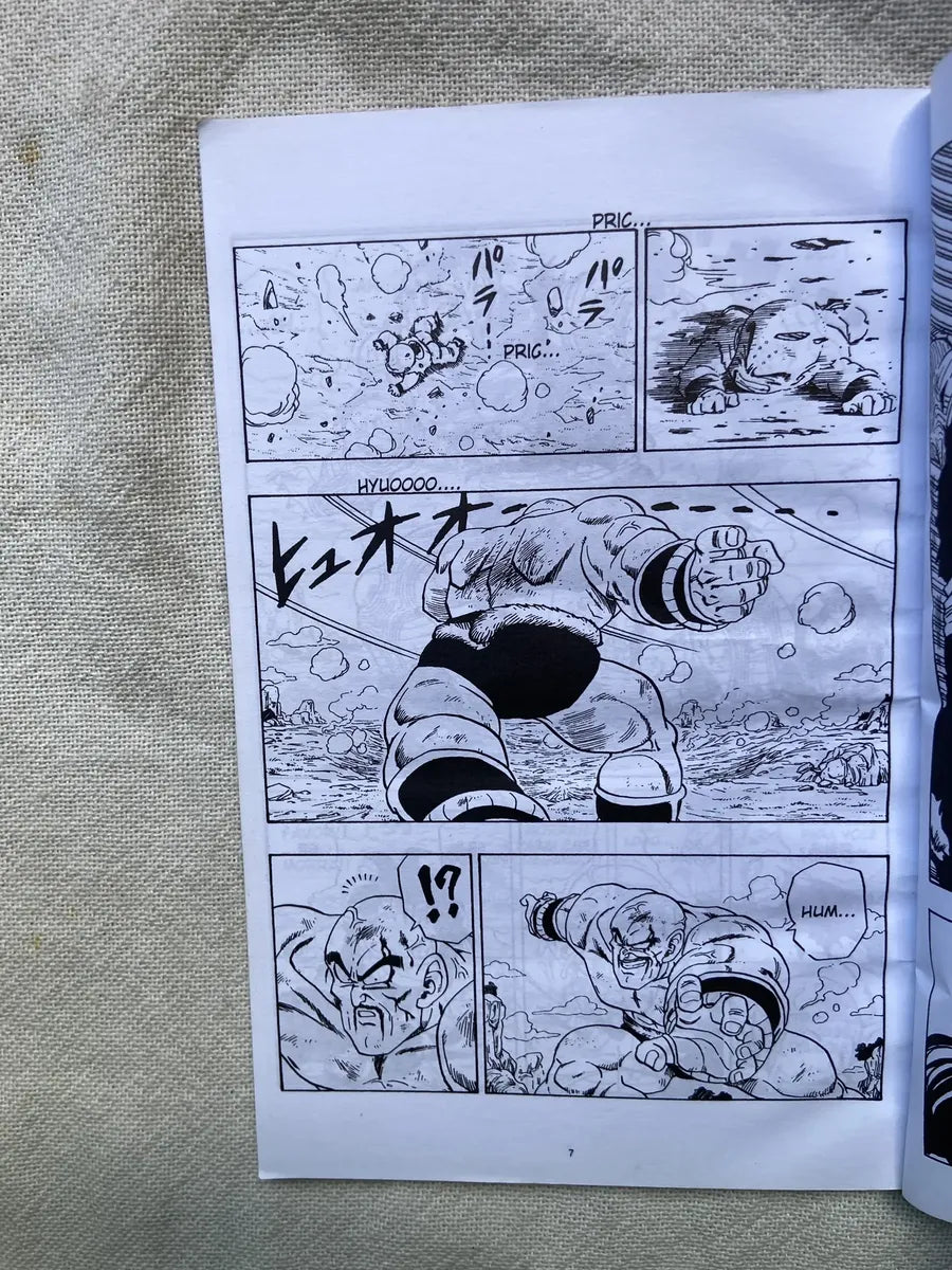 Manga Dragon Ball Z N 5 2001 (Usado)