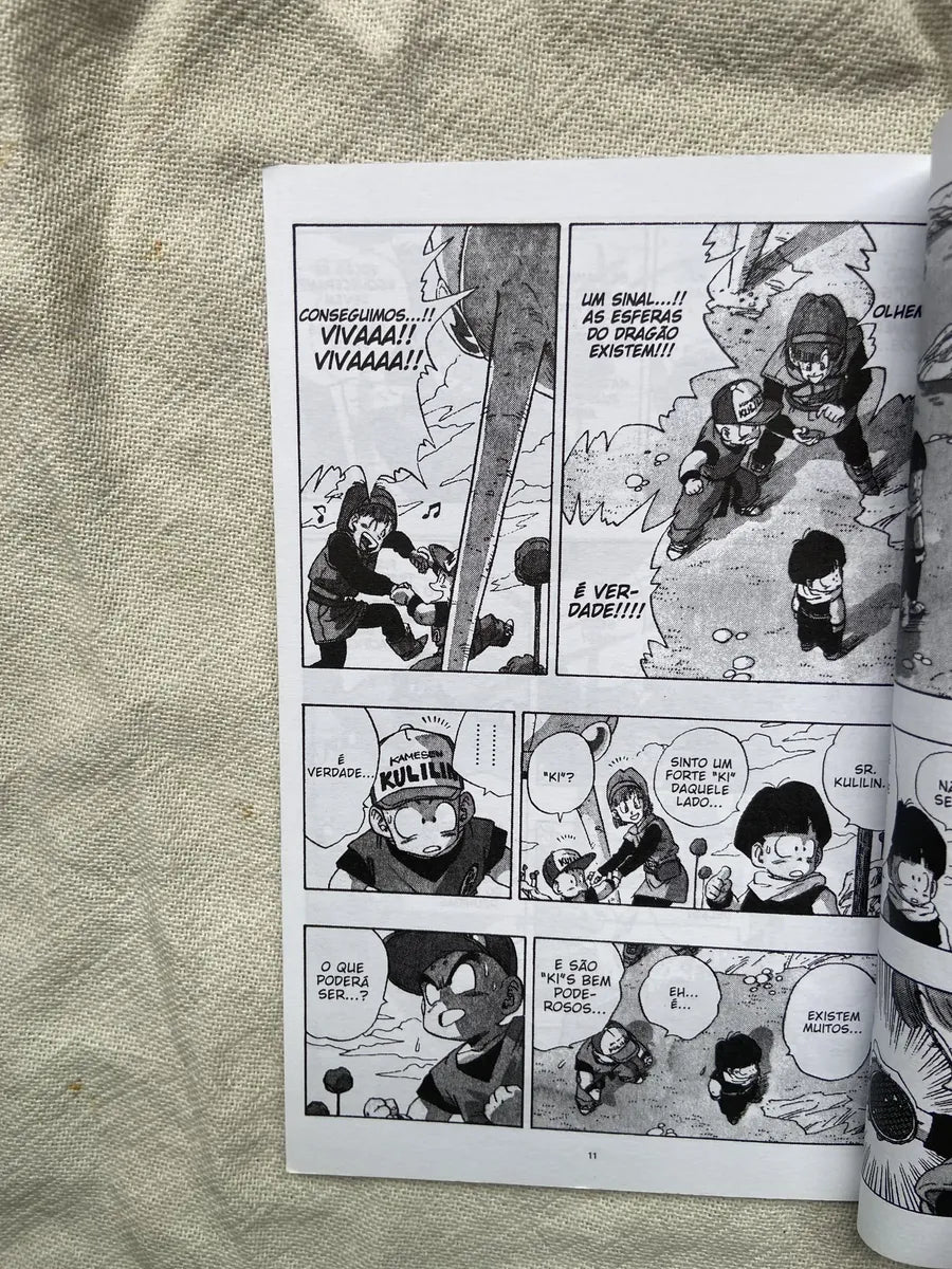 Manga Dragon Ball Z 9 Akira Toriyama 2001 (Usado)