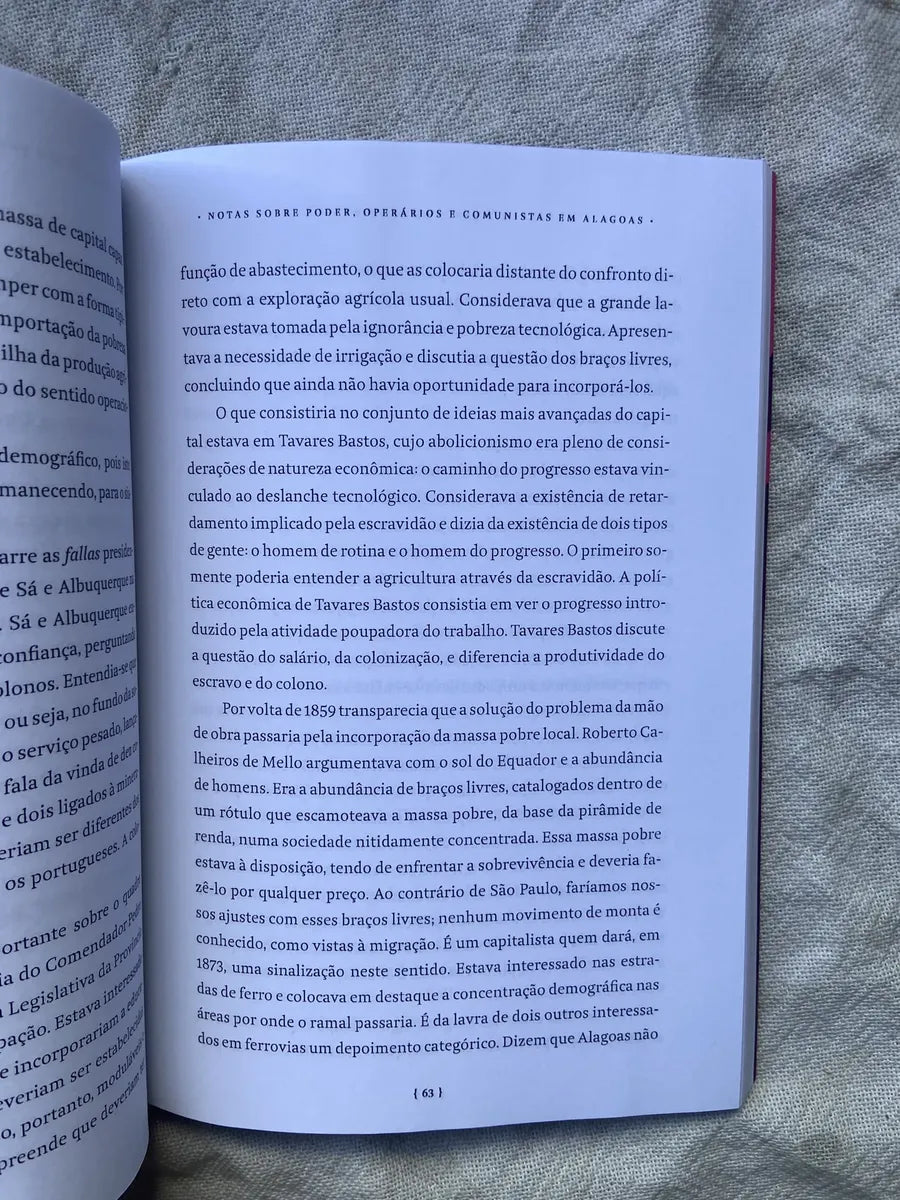Livro Notas Sobre Poder Operários E Comunistas Em Alagoas (Usado)
