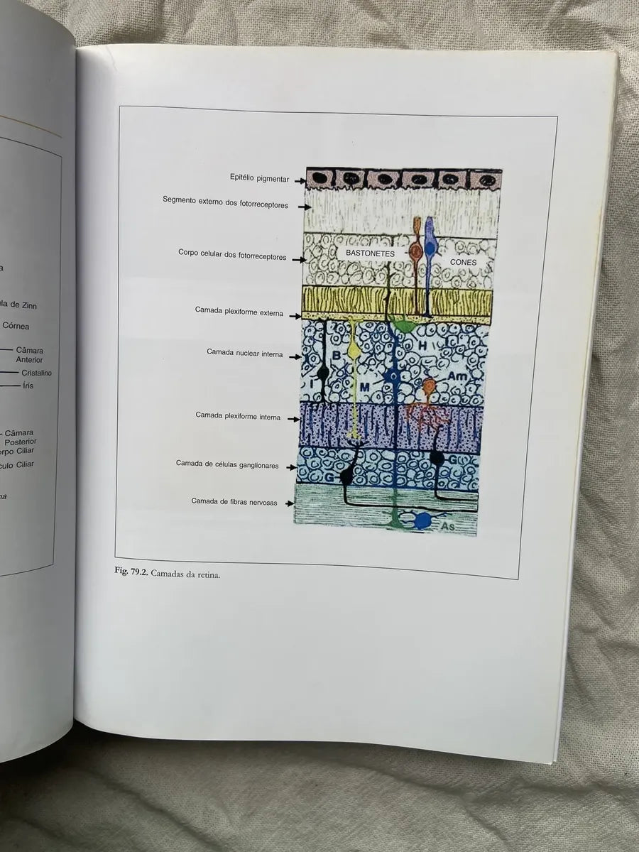 Livro Endocrinologia E Diabetes 2003 (Usado)