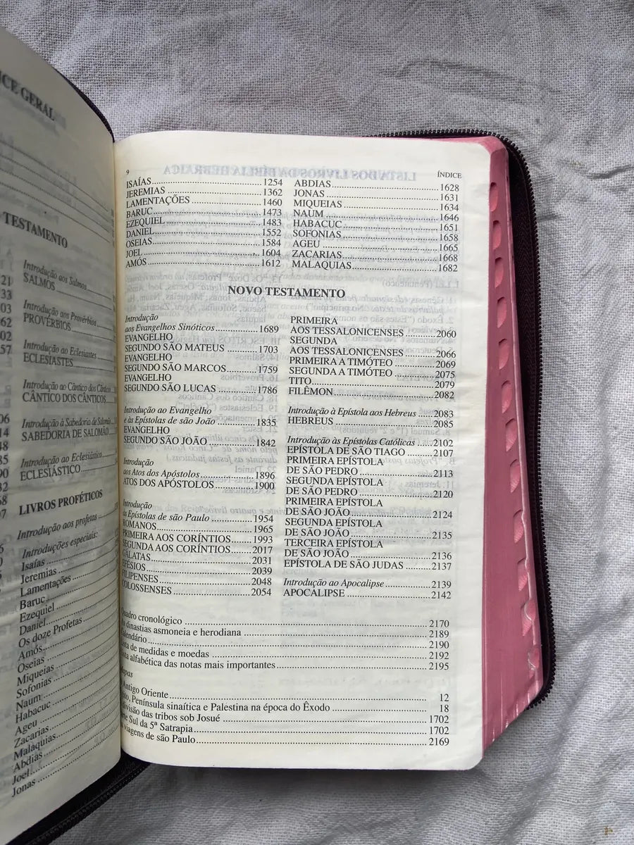 Livro Bíblia De Jerusalém Nova Edição Revista 2002 (Usado)