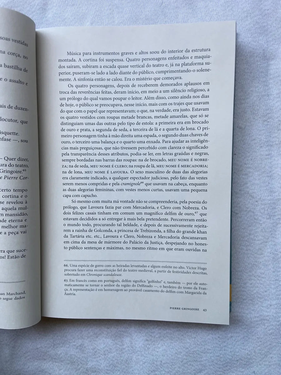 Livro O Corcunda De Notre Dame Ed Comentada E Ilustrada (Usado)