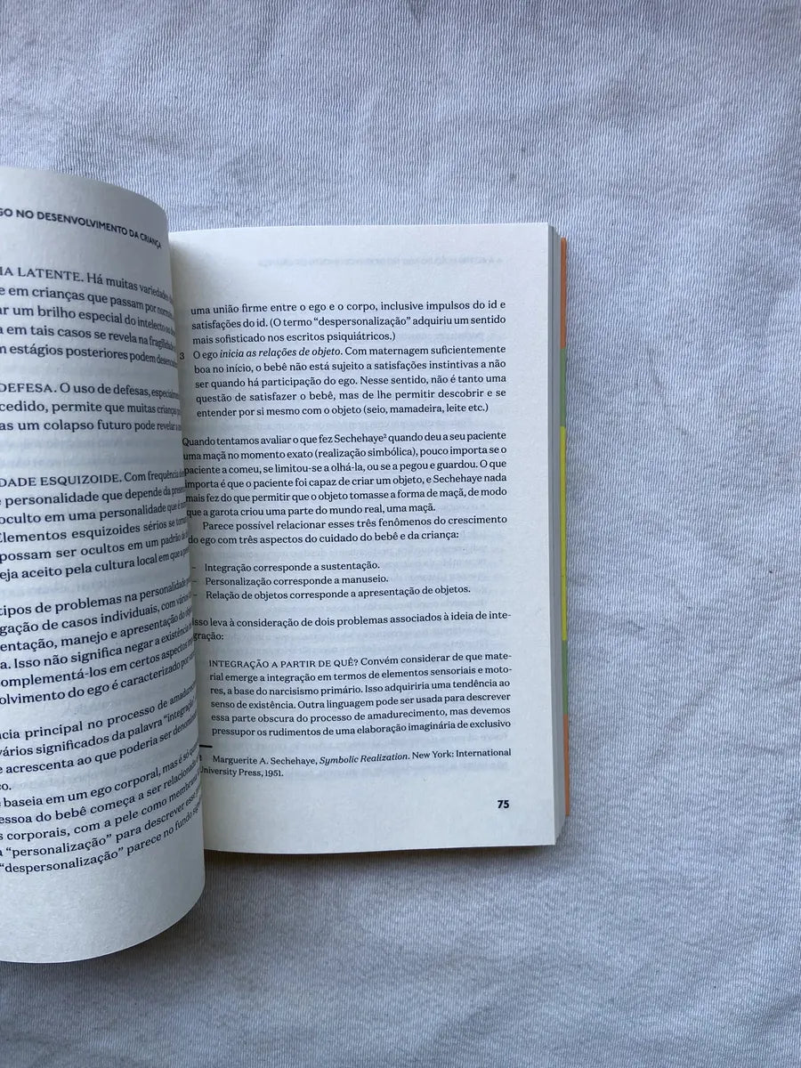 Livro Processo De Amadurecimento E Ambiente Facilitador (Usado)