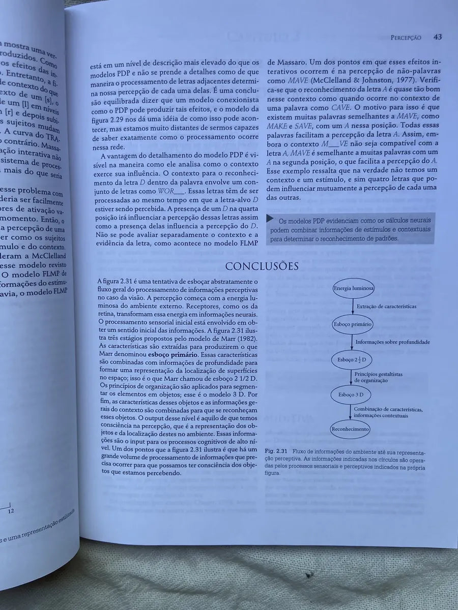 Livro Psicologia Cognitiva E Suas Implicações Experimentais (Usado)