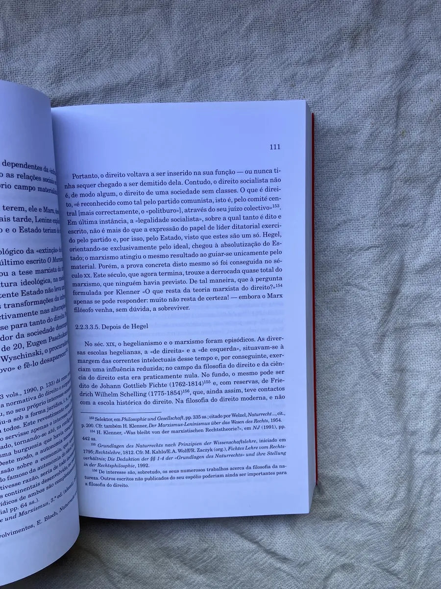 Livro Introdução A Filosofia Do Direito E Teoria Do Direito (Usado)