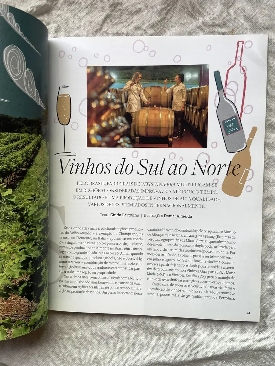 Revista Day By Day Viver Com Qualidade Ano 12 Número 12 (Usado)