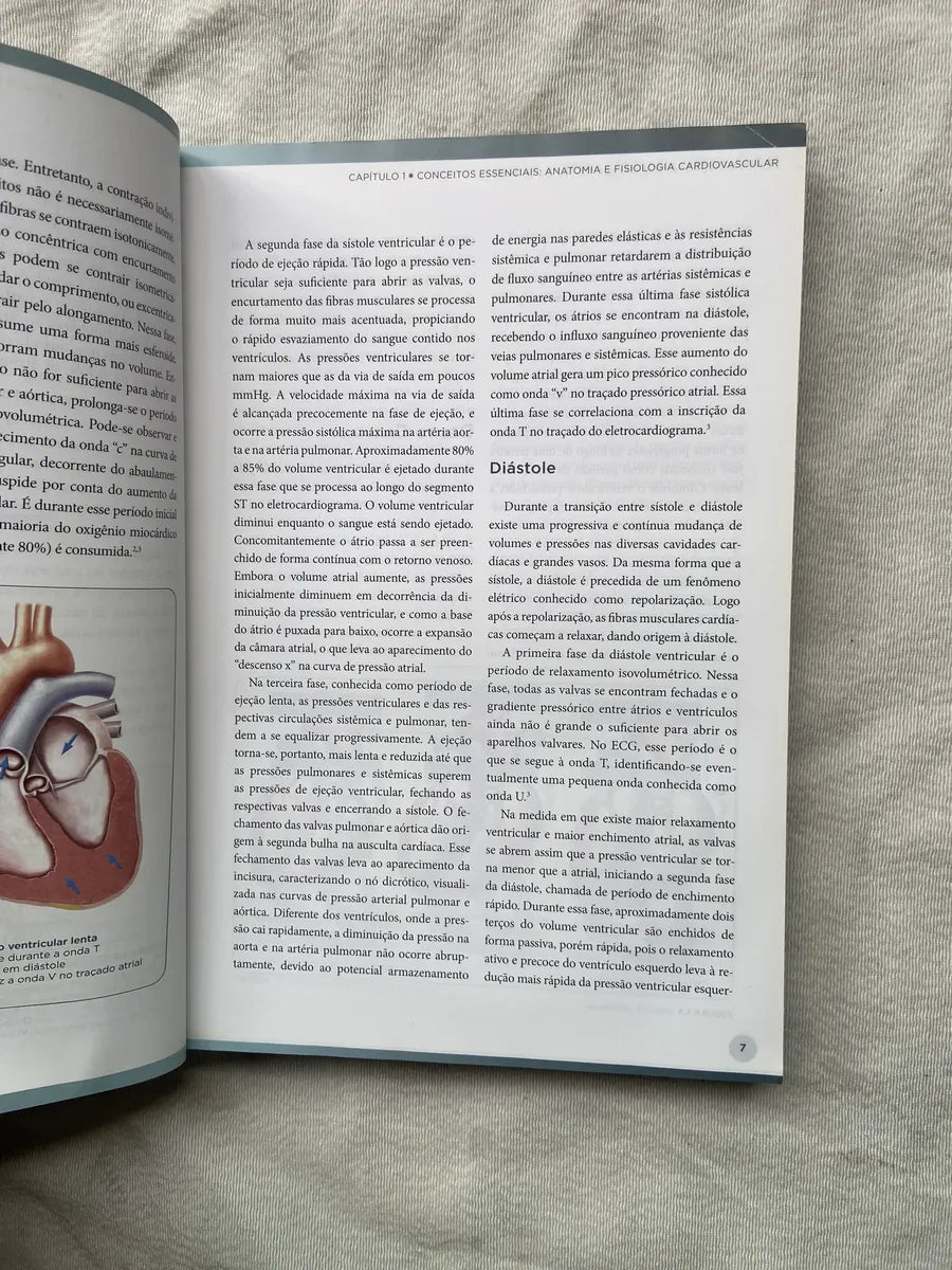 Livro Monitorização Hemodinâmica No Paciente Grave 1 Ed 2013 (Usado)