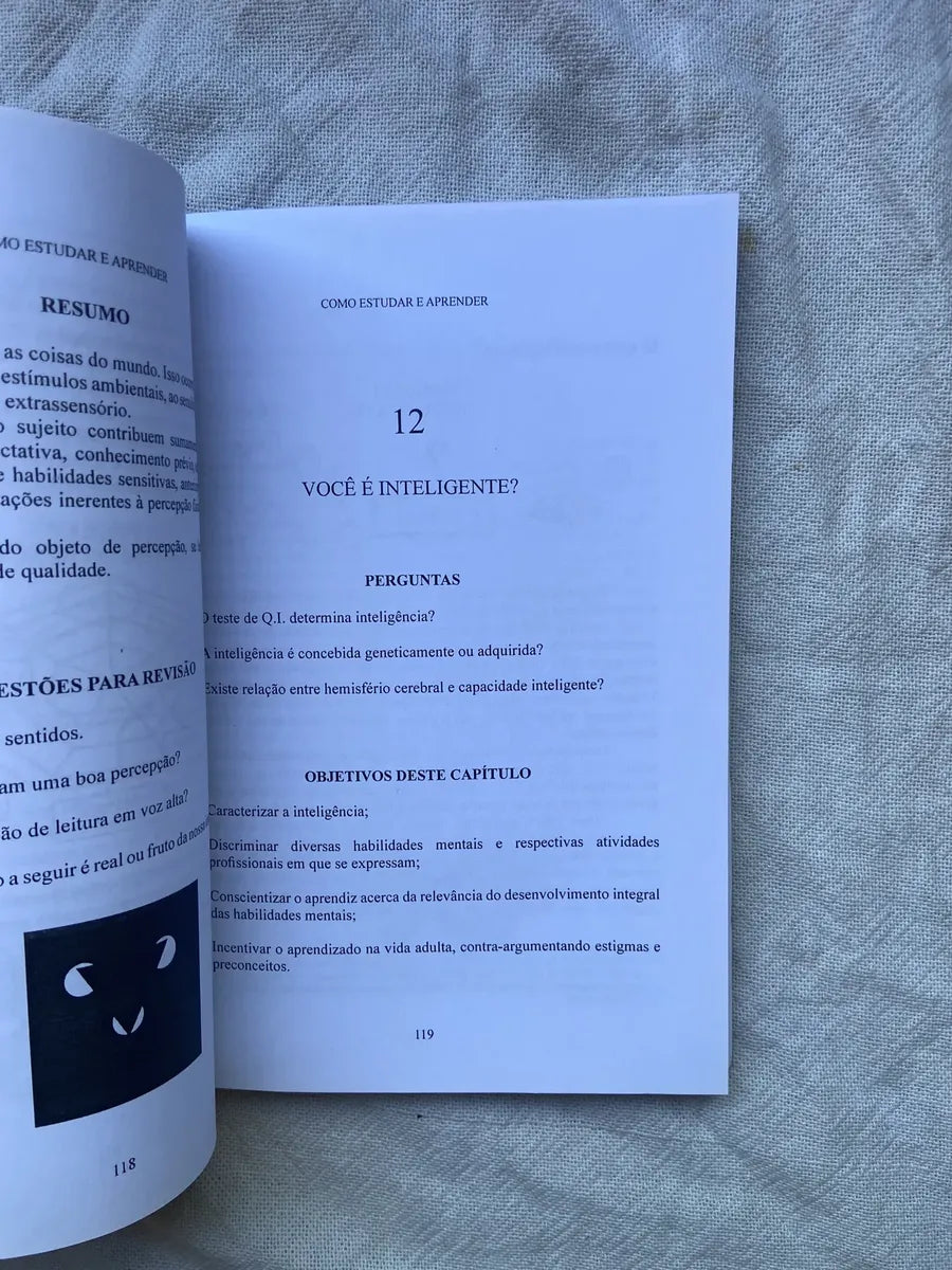 Livro Como Estudar E Aprender Como Se Tornar Autodidata 2 Ed (Usado)