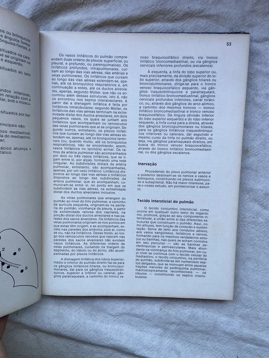 Livro Radiologia Pulmonar 1984 Capa Dura (Usado)