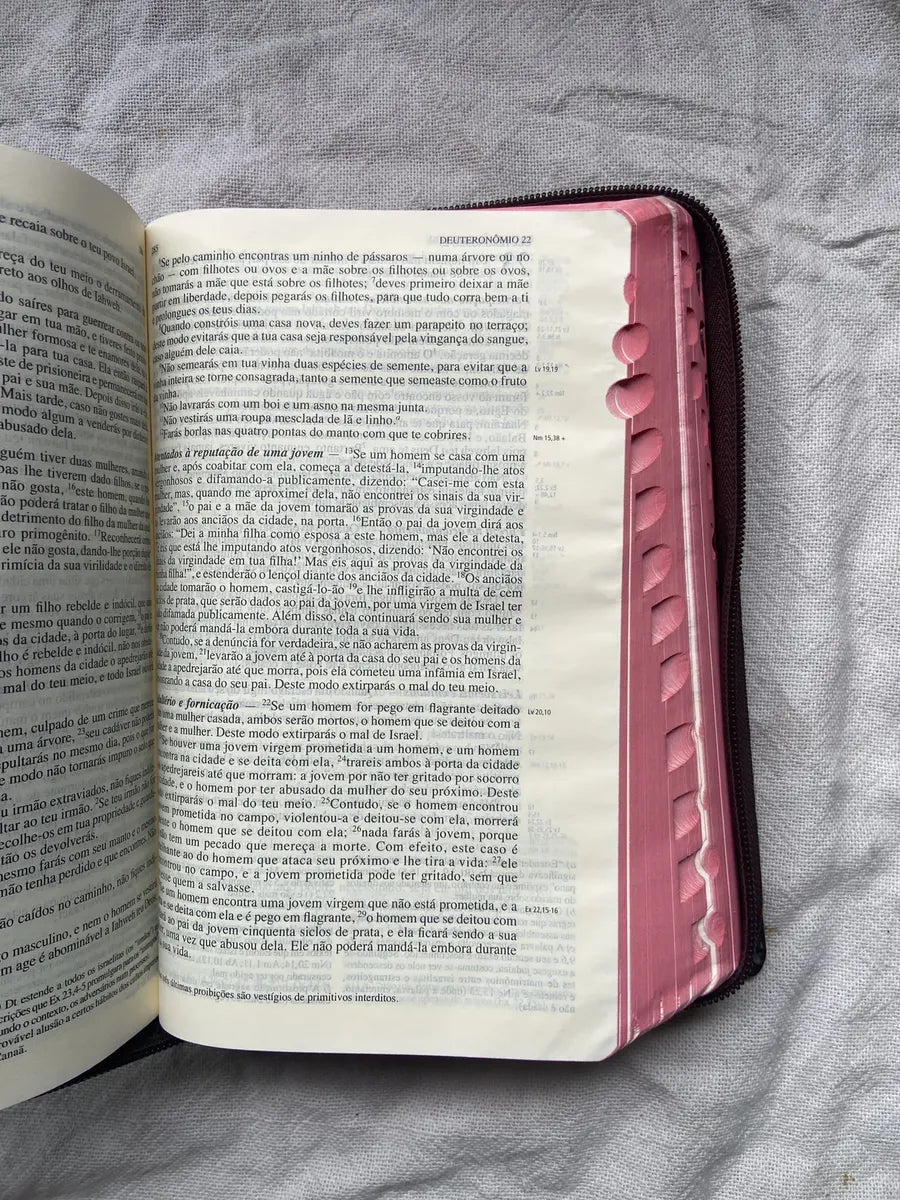 Livro Bíblia De Jerusalém Nova Edição Revista 2002 (Usado)