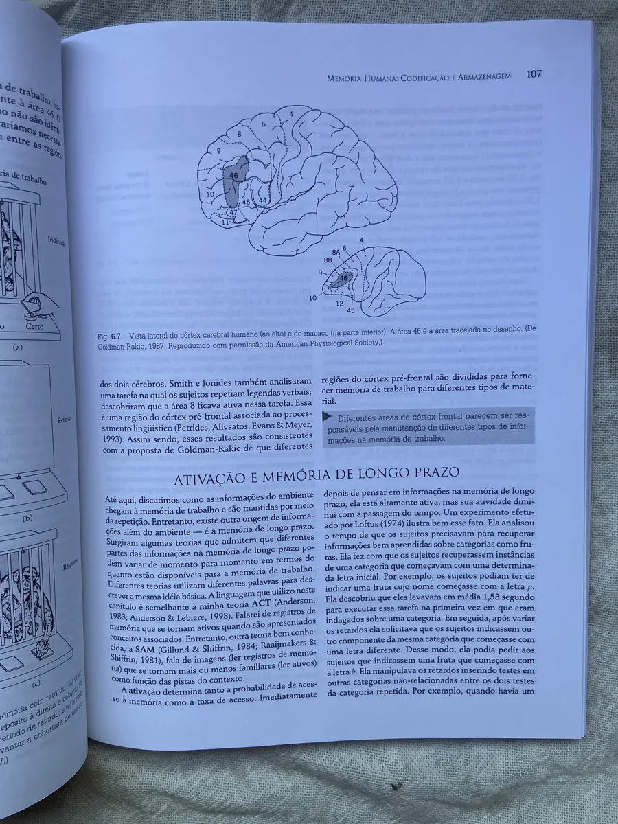 Livro Psicologia Cognitiva E Suas Implicações Experimentais (Usado)