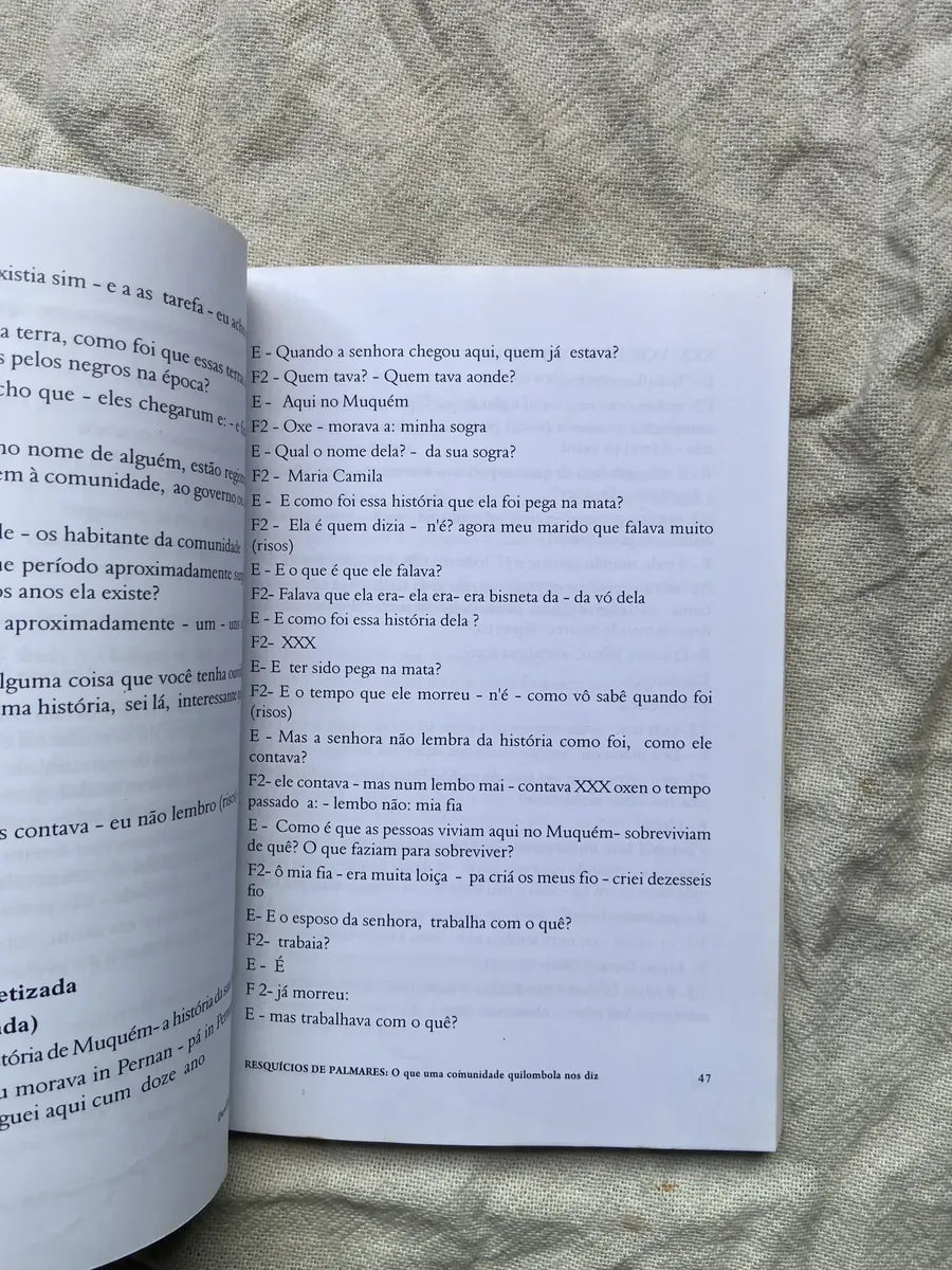 Livro Resquício De Palmares O Que Uma Comunidade (Usado)