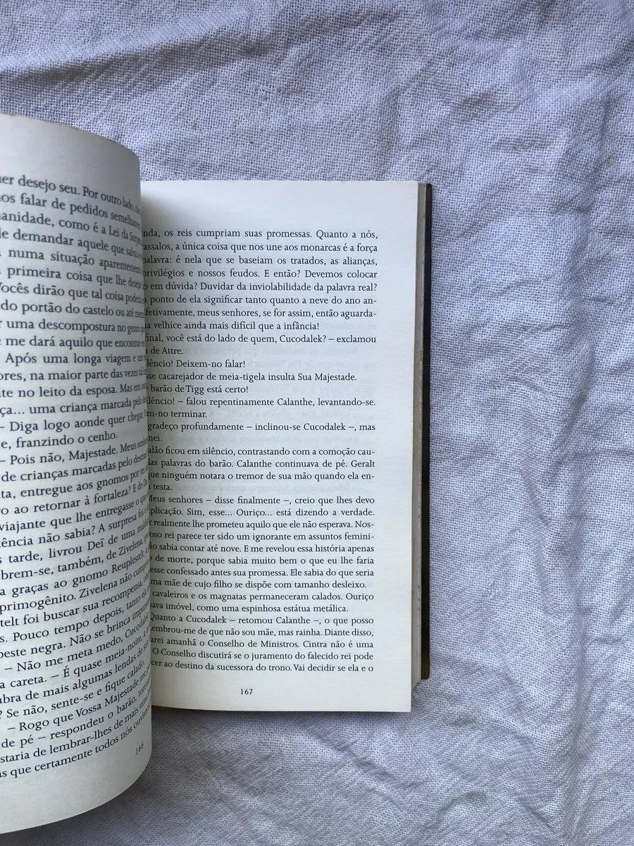 Livro O Último Desejo Andrezej Sapkowski Livro 1 (Usado)