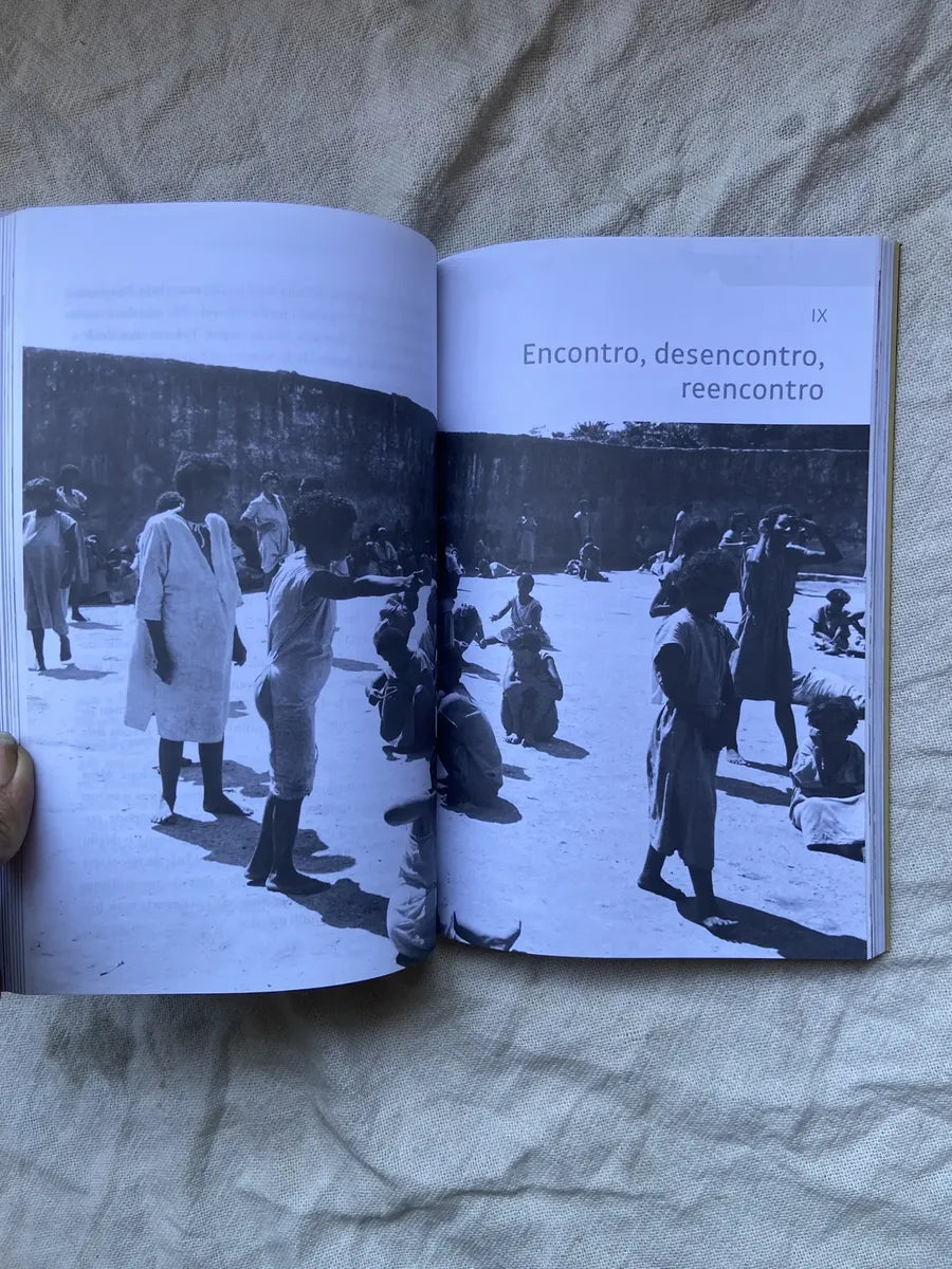Livro Holocausto Brasileiro Daniela Arbex 21 Edição 2013 (Usado)