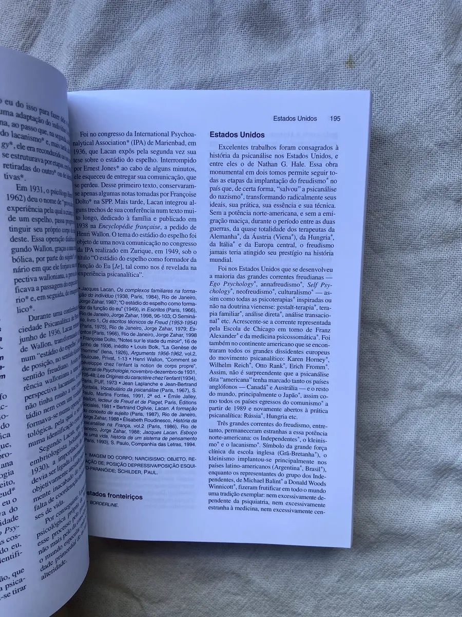 Livro Dicionário De Psicanálise Elisabeth Roudinesco 1998 (Usado)