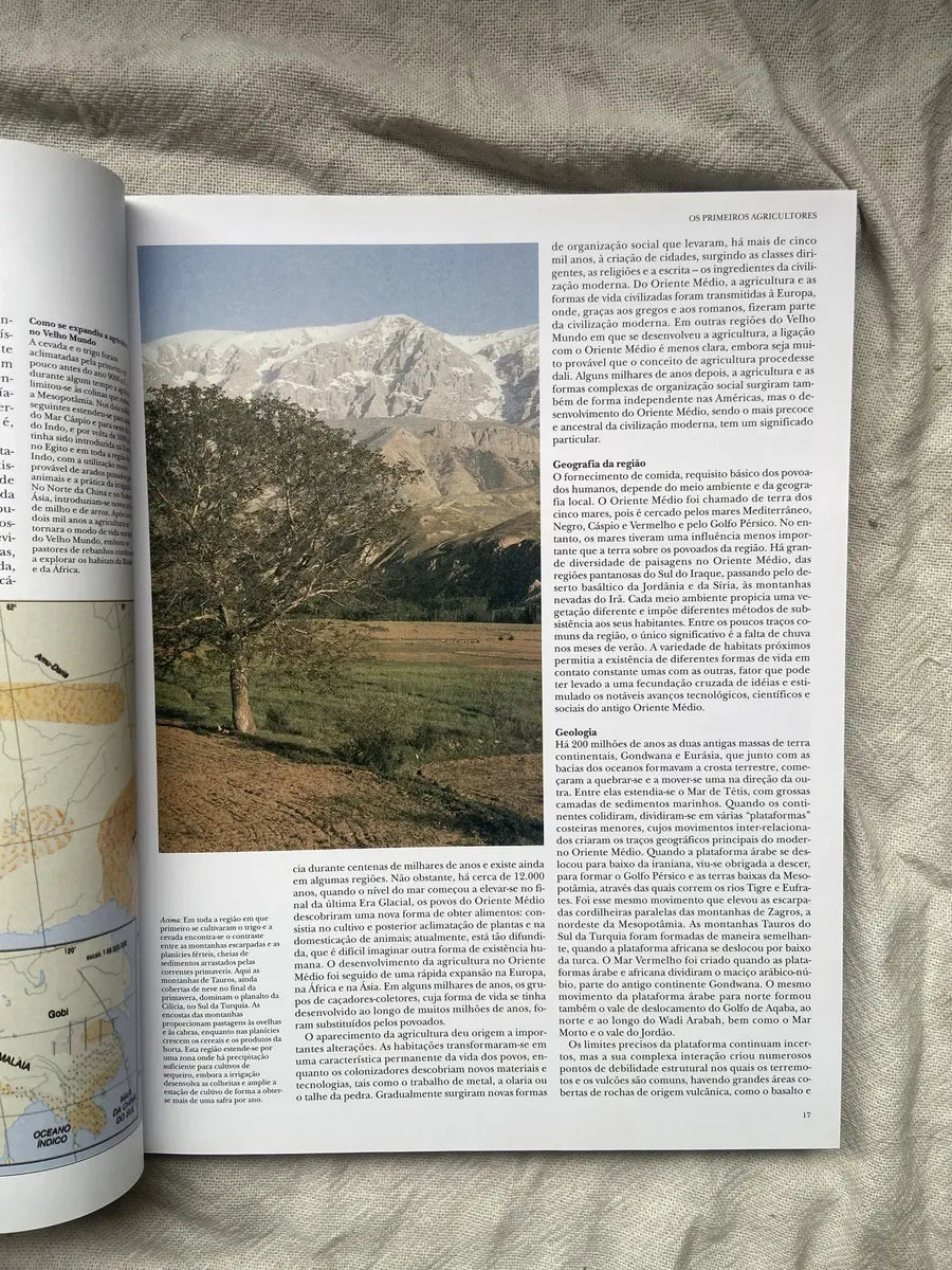 Livro Mesopotâmia Coleção Grandes Civilizações Do Passado (Usado)