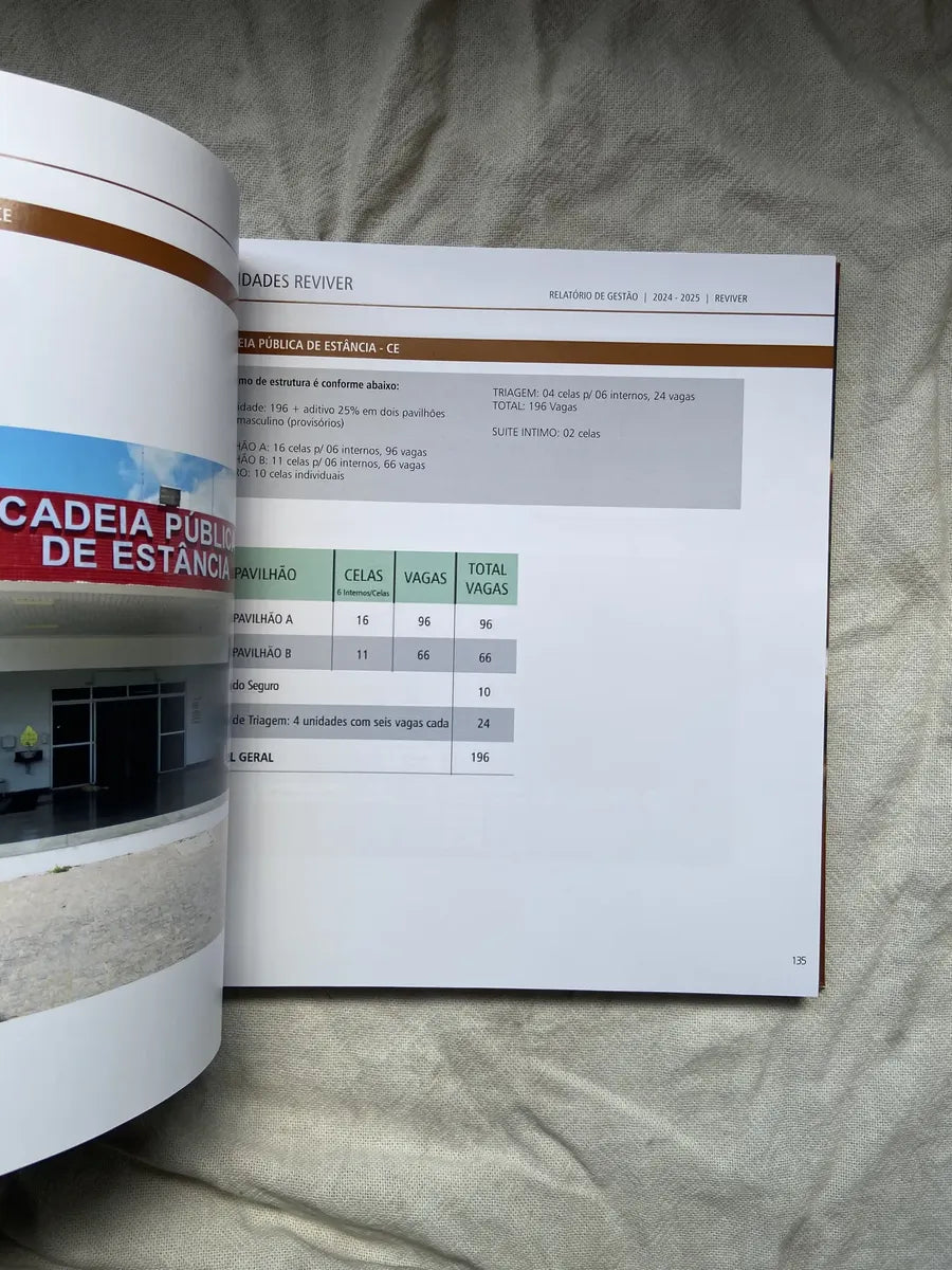Livro Moldar Reignificar Relatório Anual 2024 2025 (Usado)