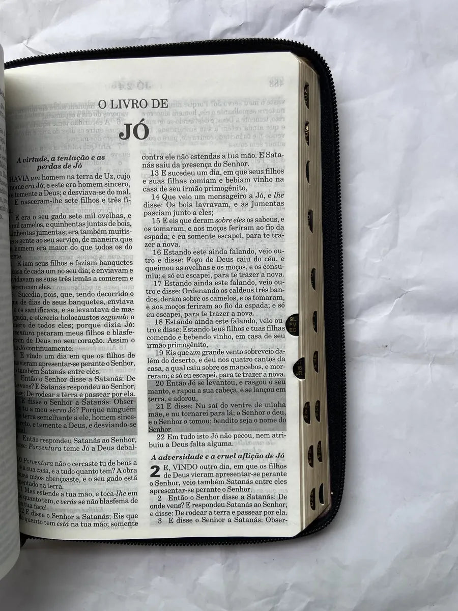 Livro Bíblia Sagrada E Harpa Palavras De Jesus Em Vermelho (Usado)