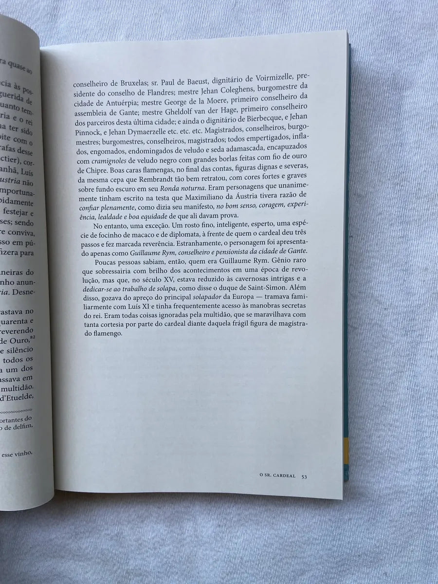 Livro O Corcunda De Notre Dame Ed Comentada E Ilustrada (Usado)