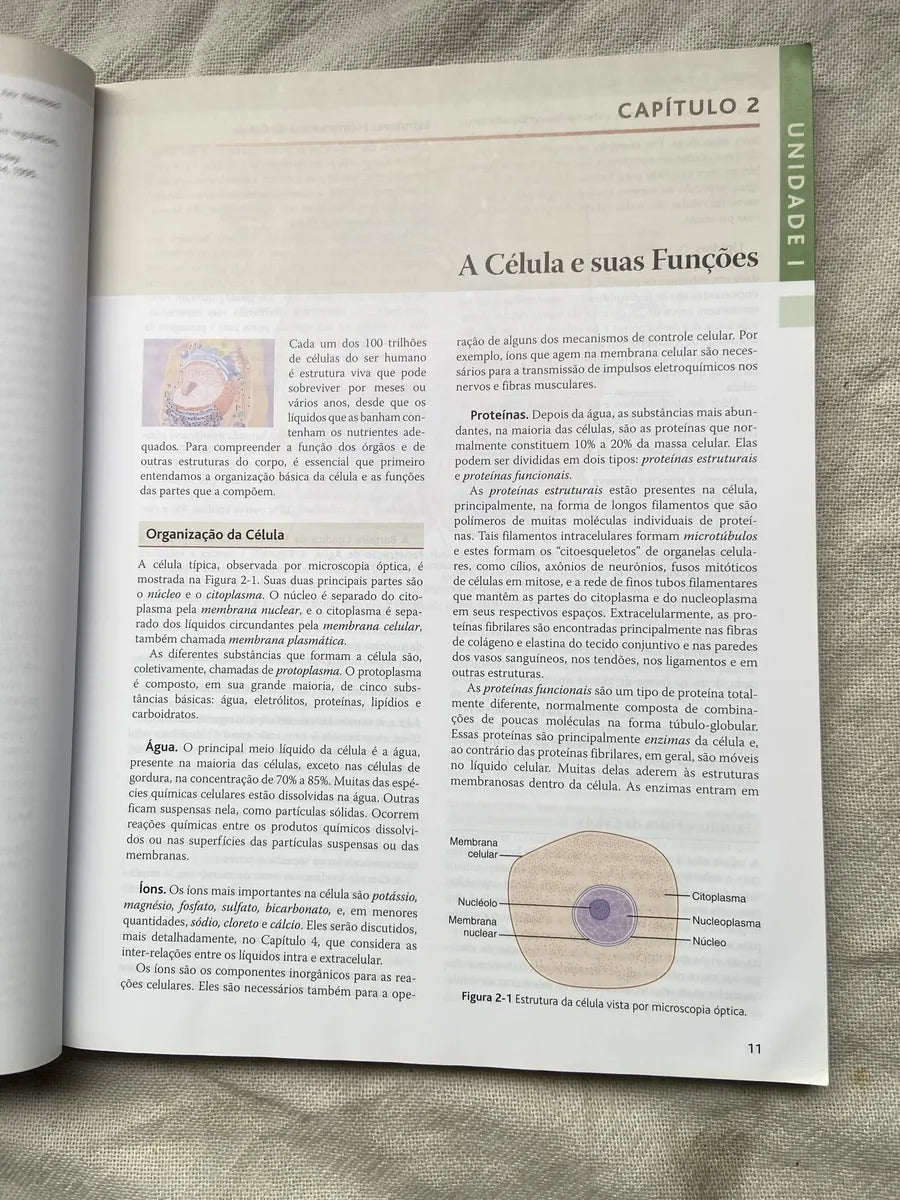 Livro Tratado De Fisiologia Médica Guyton E Hall Box 3 Vol (Usado)