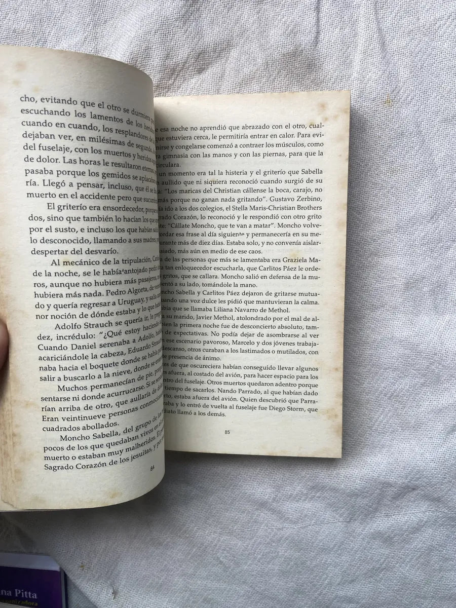 Livro La Sociedad De La Nieve Pablo Vierci 2008 (Usado)
