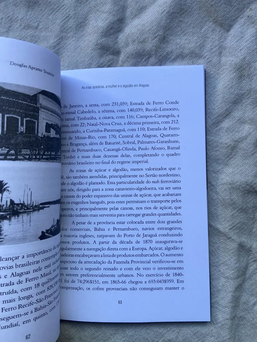 Livro As Vilas Operárias À Mulher E O Algodão Em Alagoas (Usado)