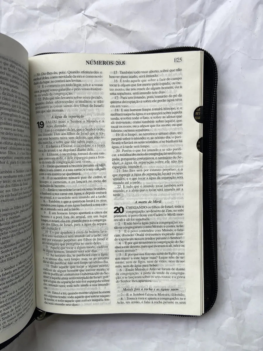 Livro Bíblia Sagrada E Harpa Revisão De 1997 (Usado)