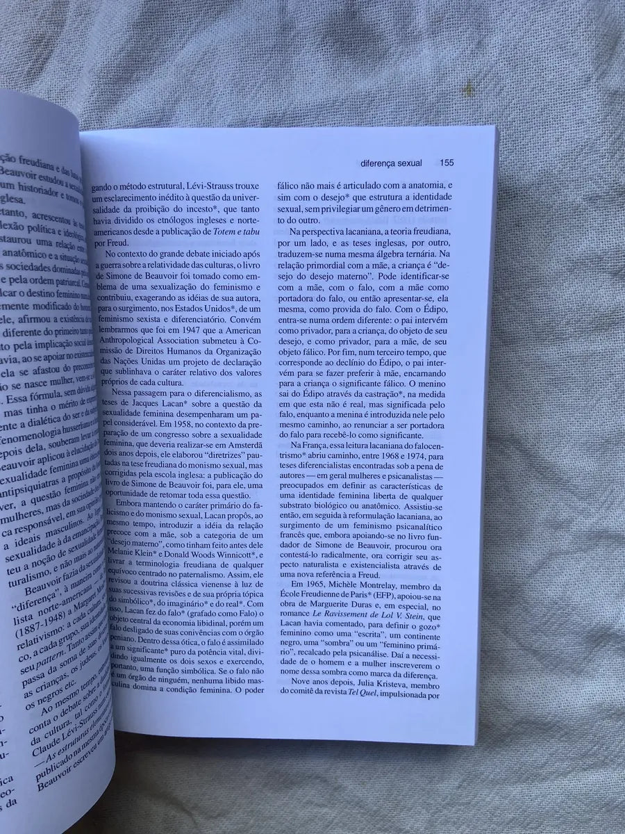 Livro Dicionário De Psicanálise Elisabeth Roudinesco 1998 (Usado)