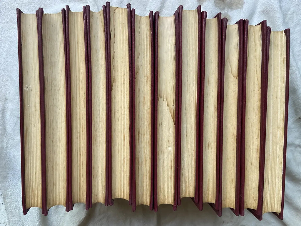 Livro Obras Psicológicas Completas Sigmund Freud Box 24 Vol (Usado)