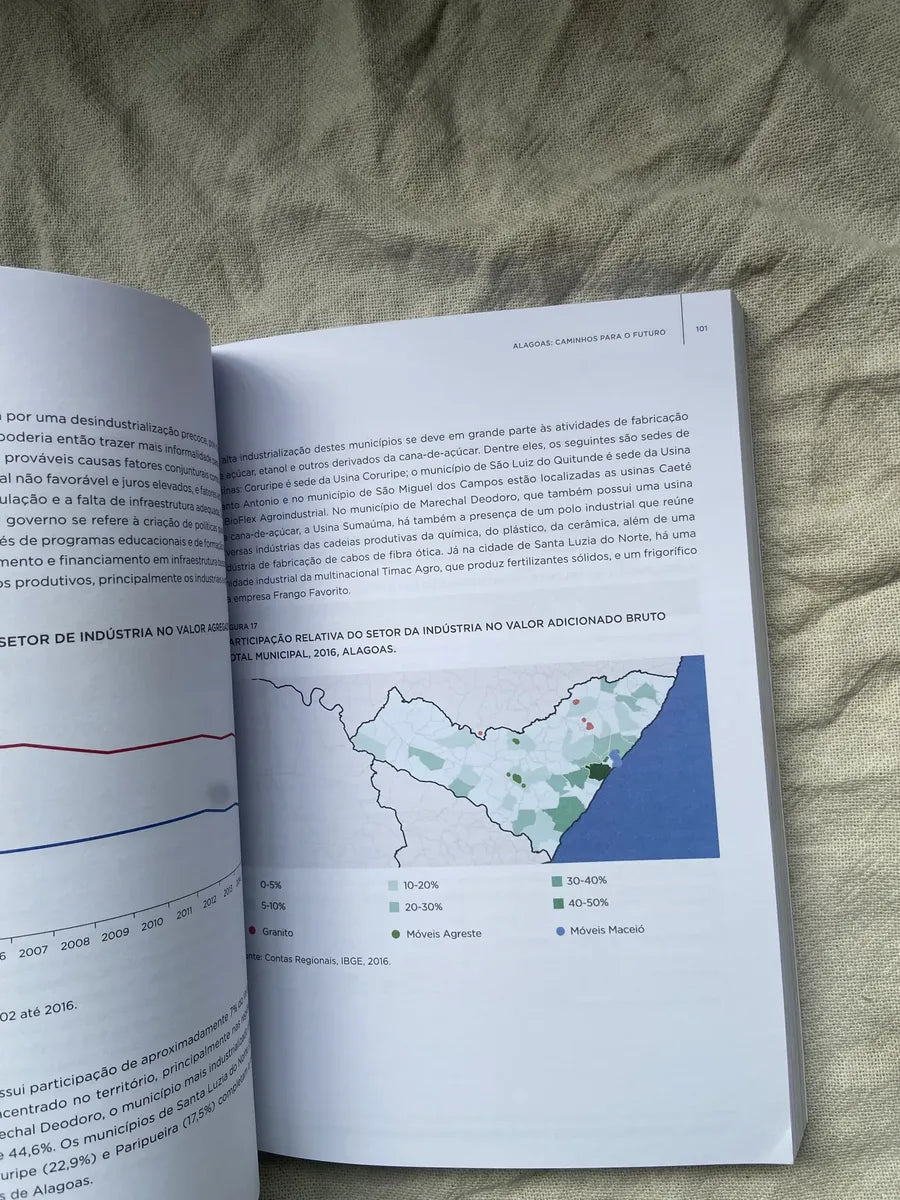 Livro Alagoas Caminha Para O Futuro 2019 (Usado)