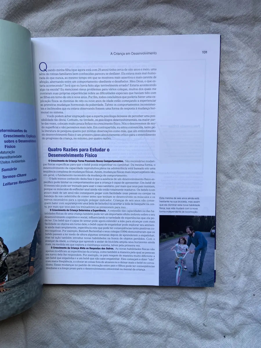 Livro A Criança Em Desenvolvimento Helen Bee 9 Edição 2003 (Usado)