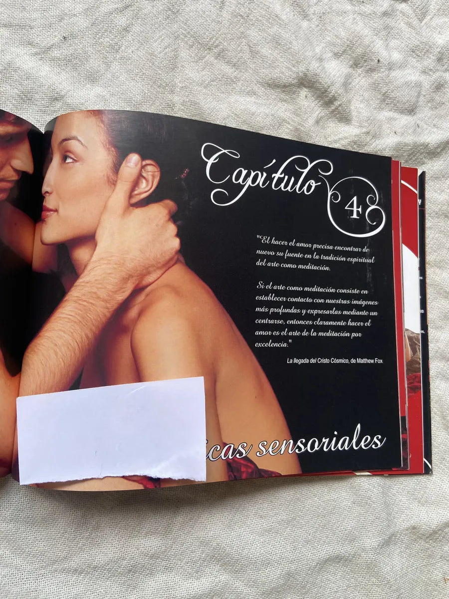Livro Reiki Tântrico Manual De Sexo Suave Coleccion Reikihoy (Usado)