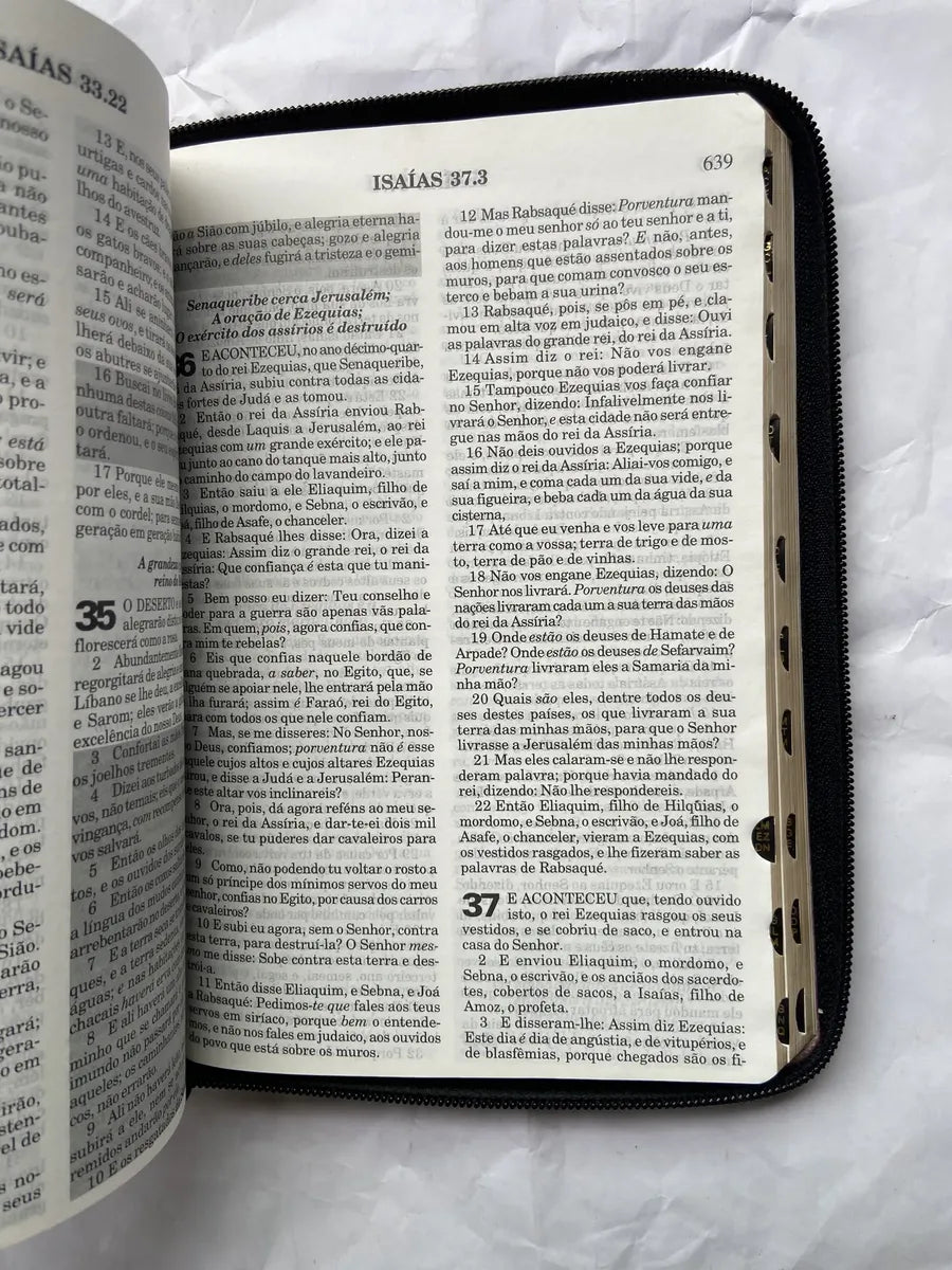 Livro Bíblia Sagrada E Harpa Palavras De Jesus Em Vermelho (Usado)