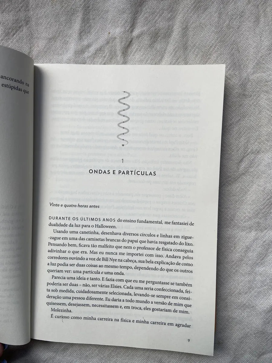 Livro Amor Teoricamente Ali Hazelwood 1 Edição 2023 (Usado)
