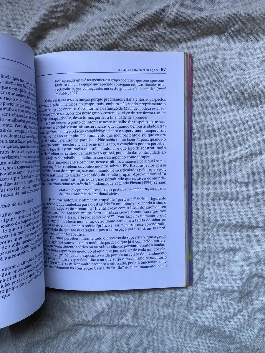 Livro O Futuro Da Integração Desenvolvimentos (Usado)