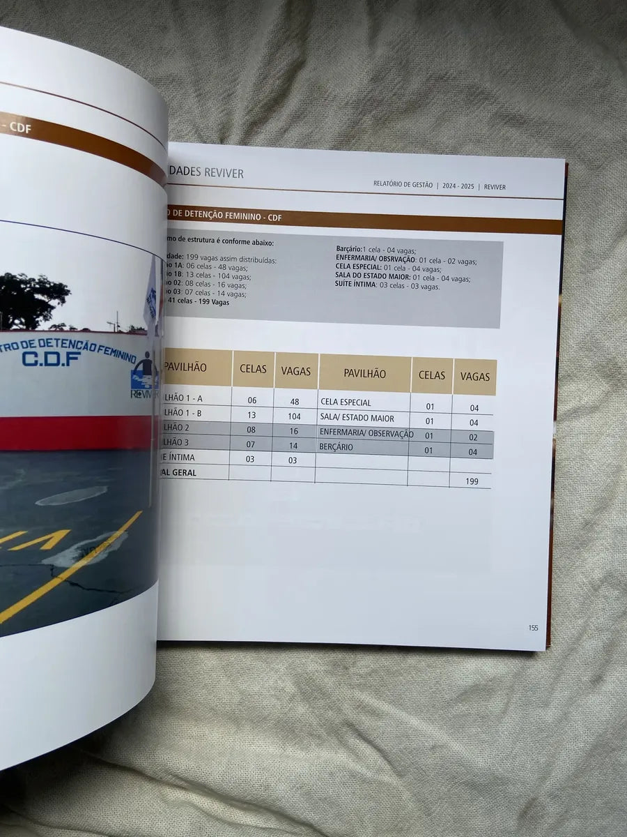 Livro Moldar Reignificar Relatório Anual 2024 2025 (Usado)
