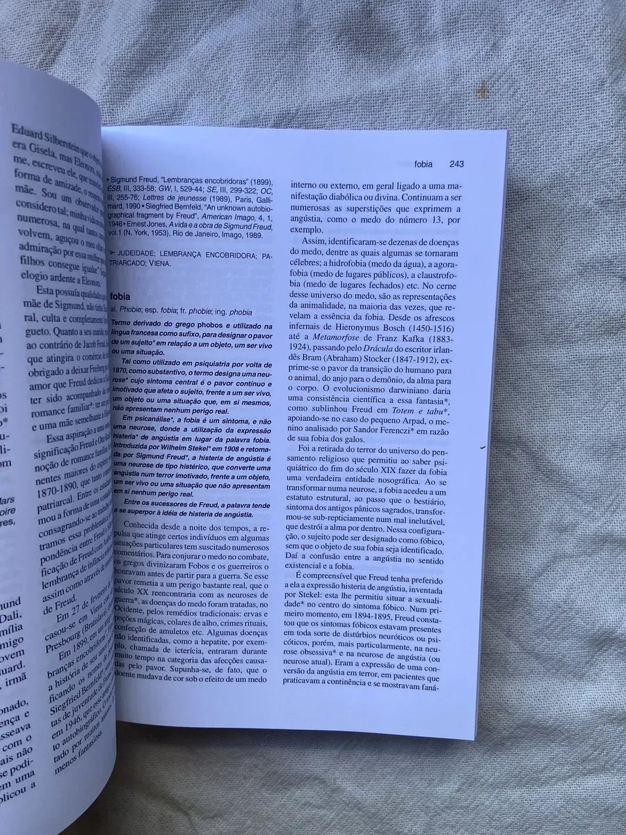 Livro Dicionário De Psicanálise Elisabeth Roudinesco 1998 (Usado)