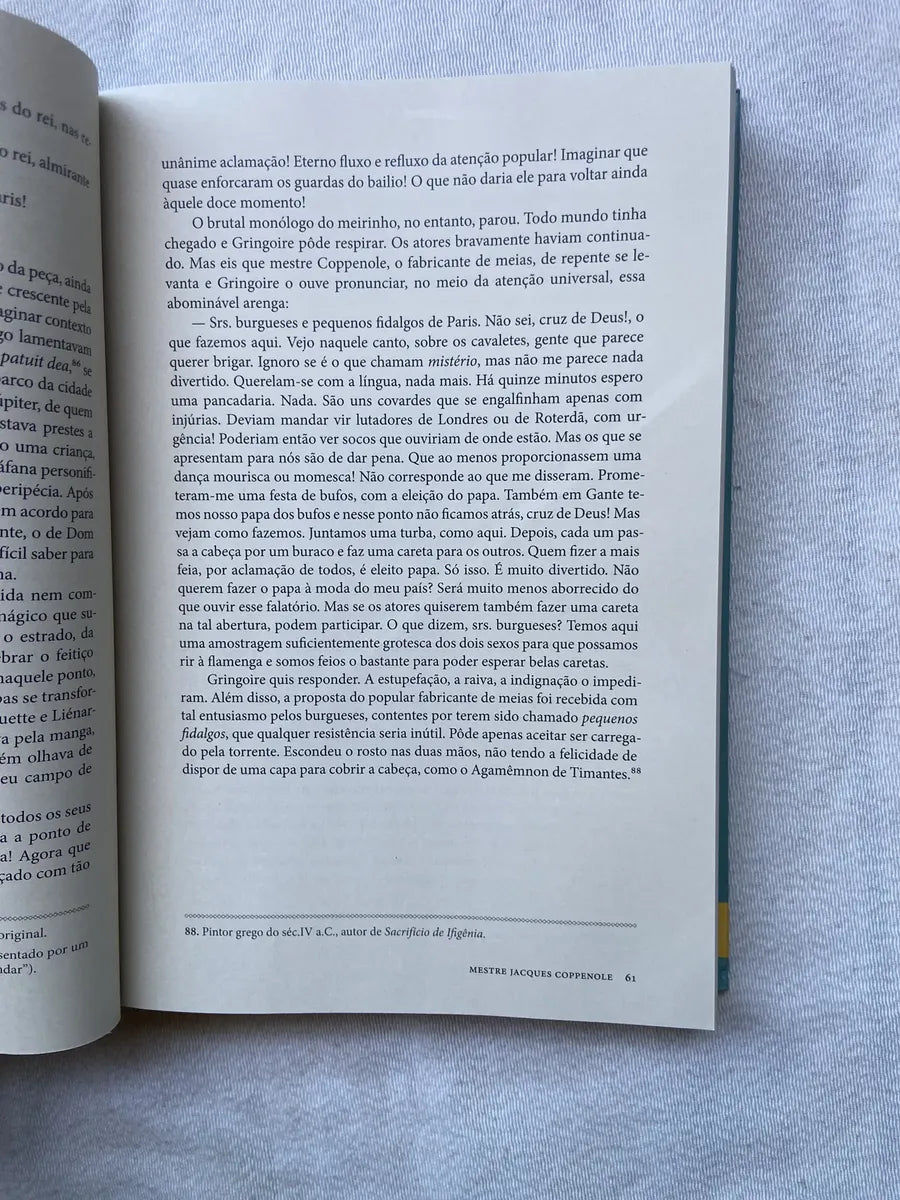 Livro O Corcunda De Notre Dame Ed Comentada E Ilustrada (Usado)