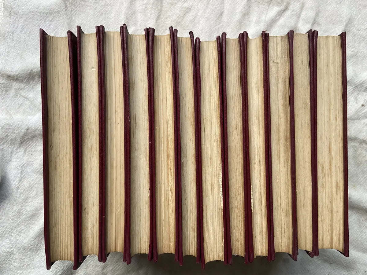 Livro Obras Psicológicas Completas Sigmund Freud Box 24 Vol (Usado)