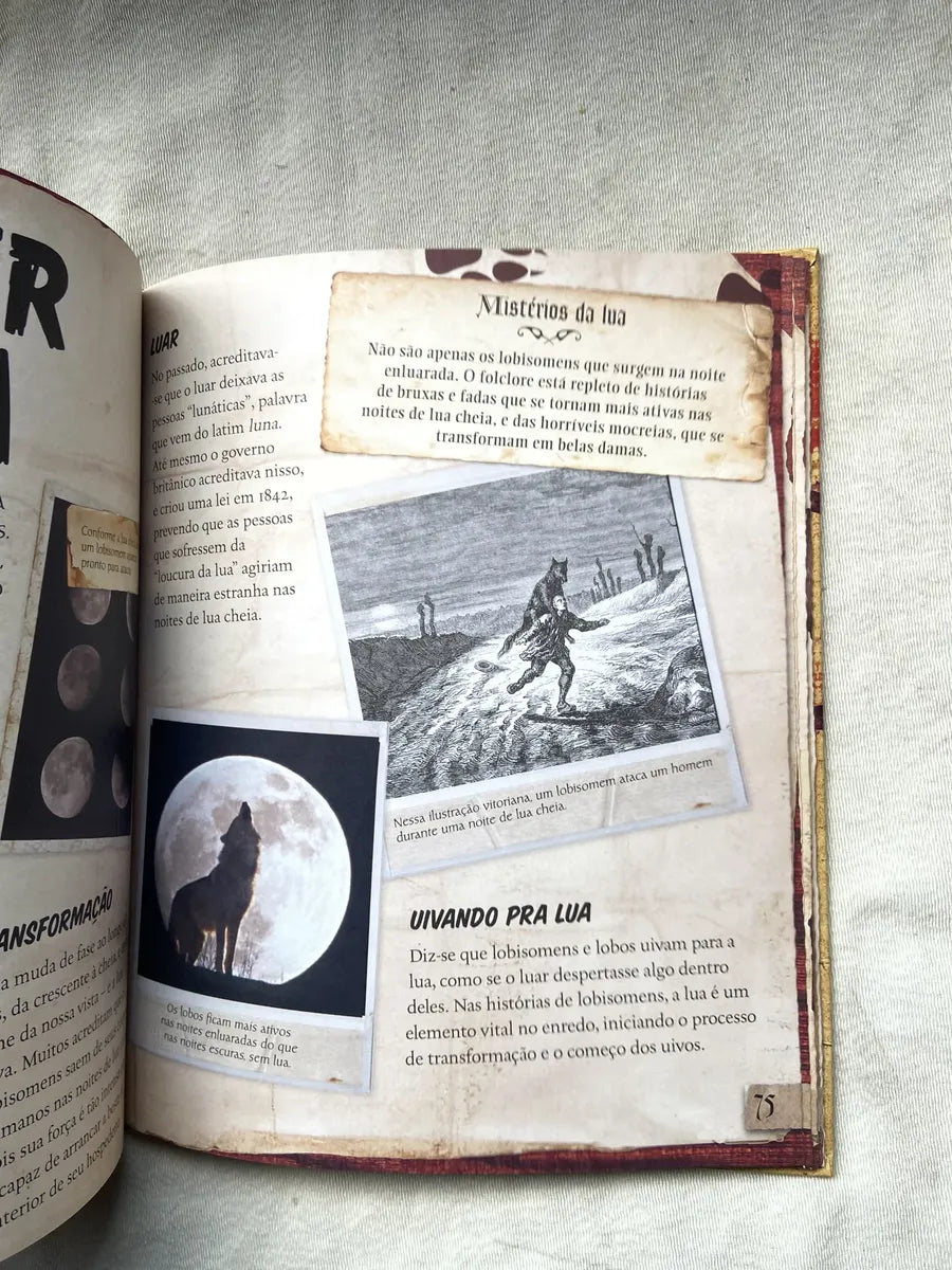 Livro Monstro Mania Fantasmas Lobisomens Bruxas E Vampiros (Usado)