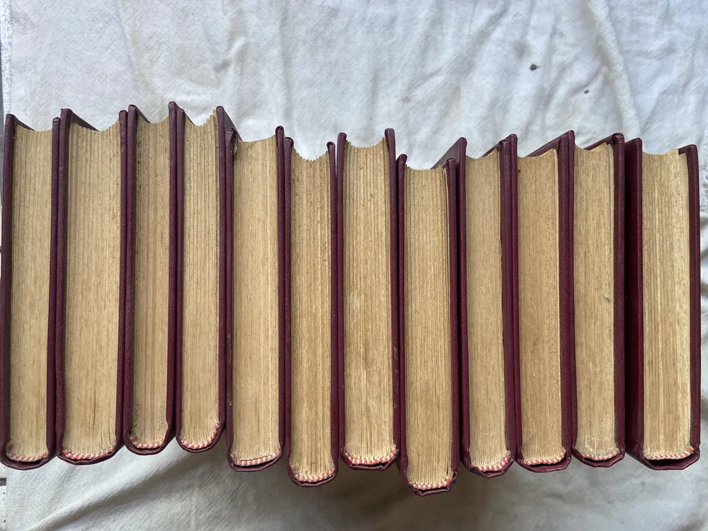 Livro Obras Psicológicas Completas Sigmund Freud Box 24 Vol (Usado)