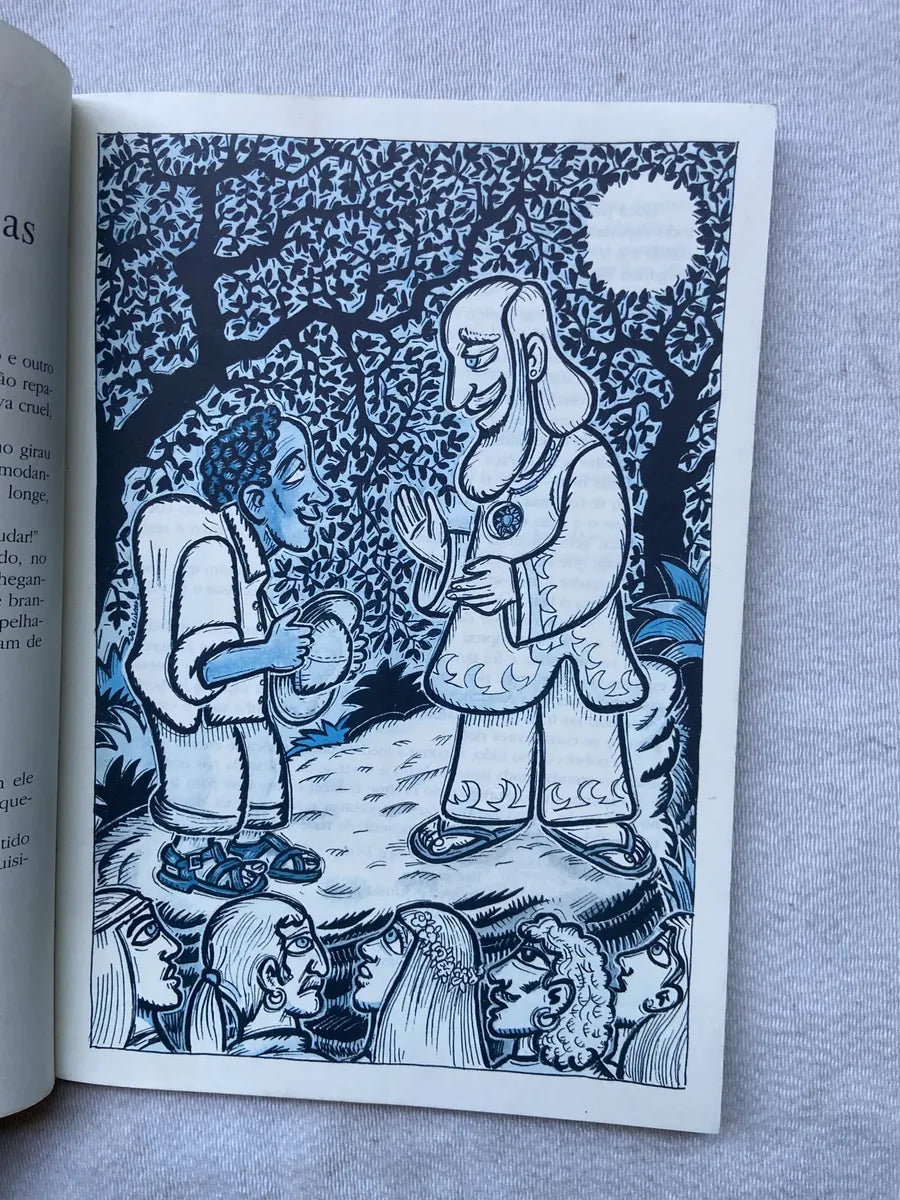 Livro Contos Tradicionais Do Brasil Para Jovens 2006 (Usado)