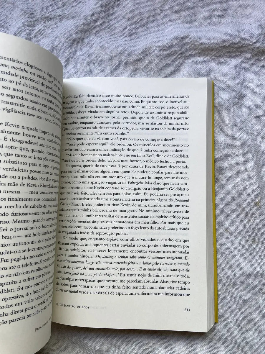 Livro Precisamos Falar Sobre O Kevin Lionel Shriver 2007 (Usado)