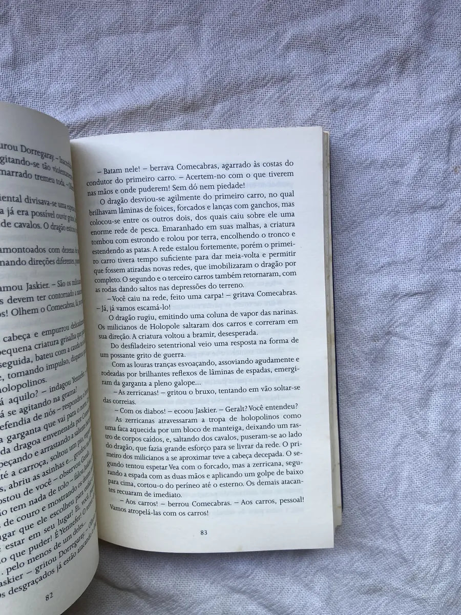 Livro A Espada Do Destino Andrezej Sapkowski Livro 2 (Usado)