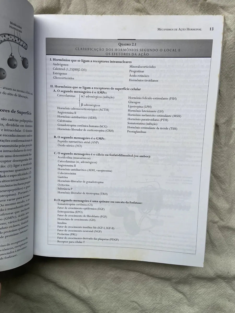 Livro Endocrinologia E Diabetes 2003 (Usado)