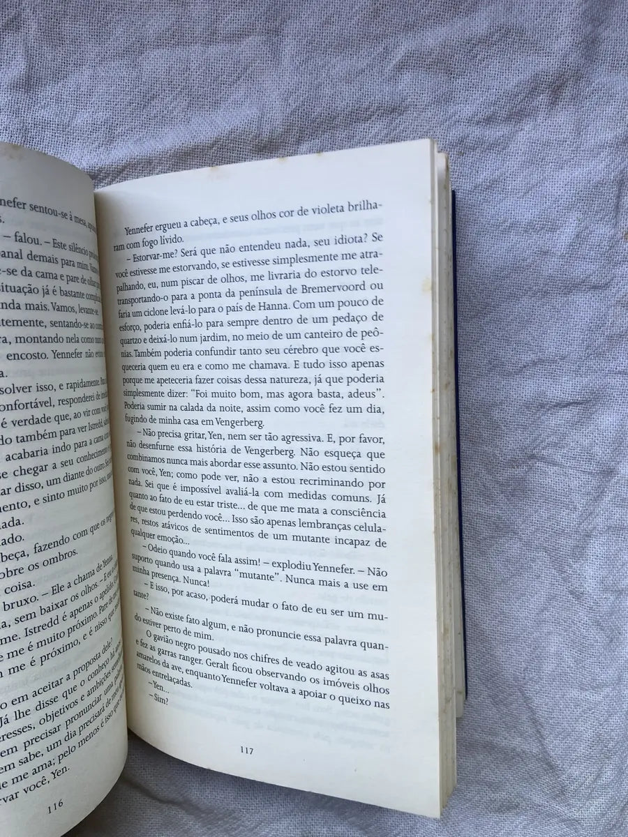 Livro A Espada Do Destino Andrezej Sapkowski Livro 2 (Usado)