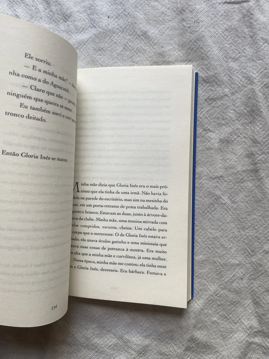 Livro Os Abismos Pilar Quintana 1 Edição 2022 (Usado)