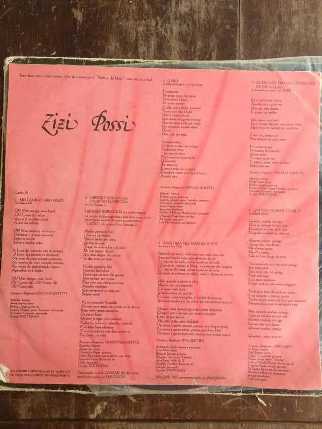 Lp Zizi Possi 1980 Série De Luxo Com Encarte (Usado)